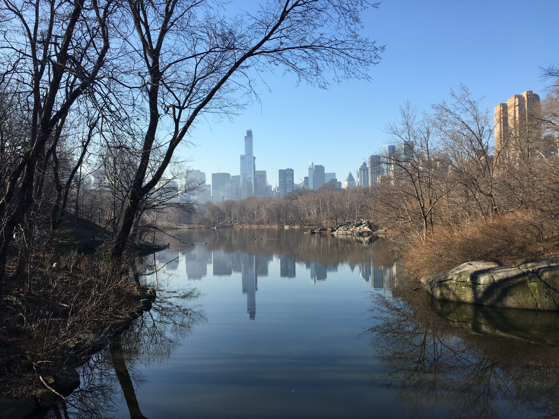 Stunning views of NYC from Central Park 