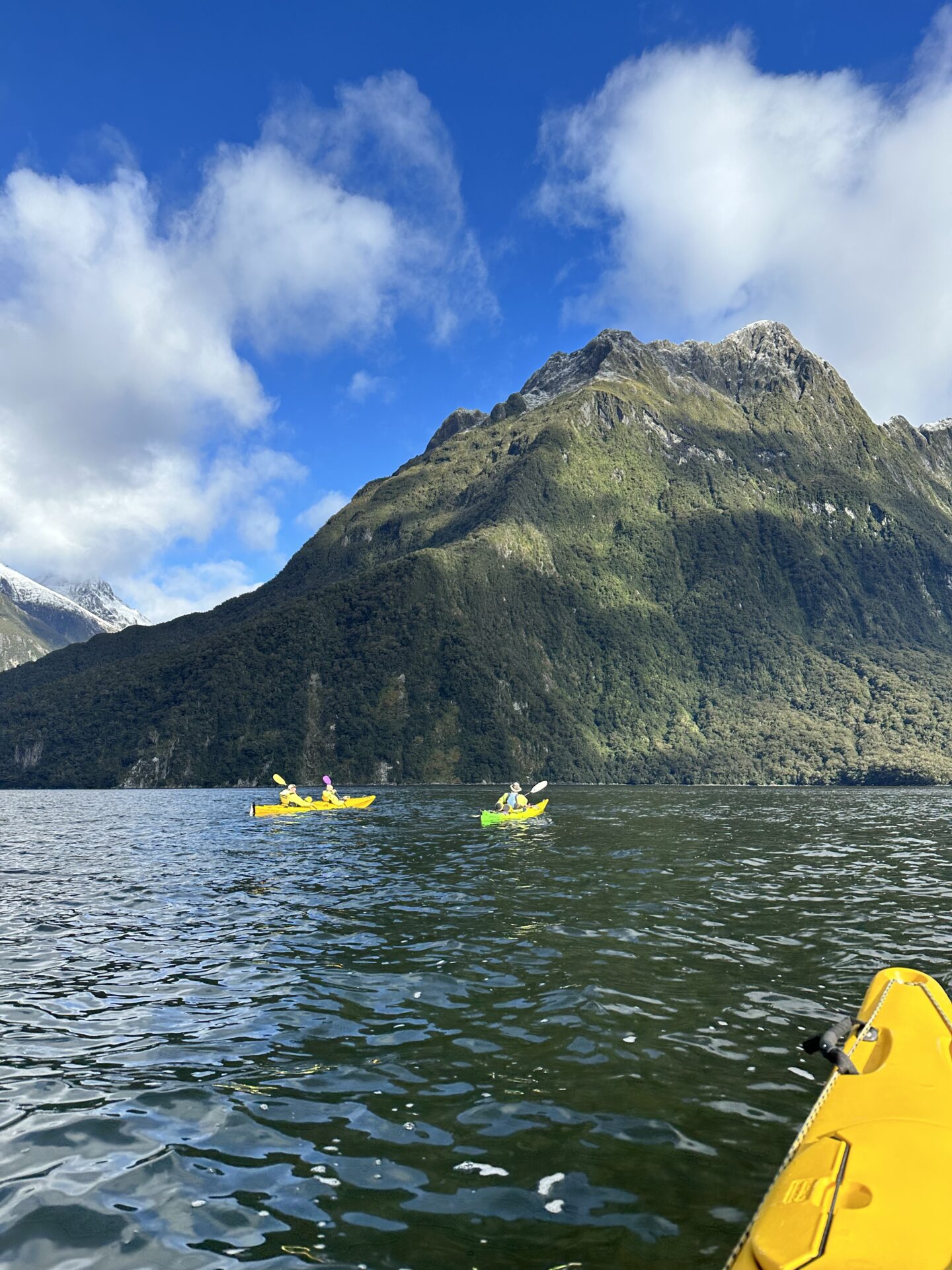 Kayak in Milford Sound