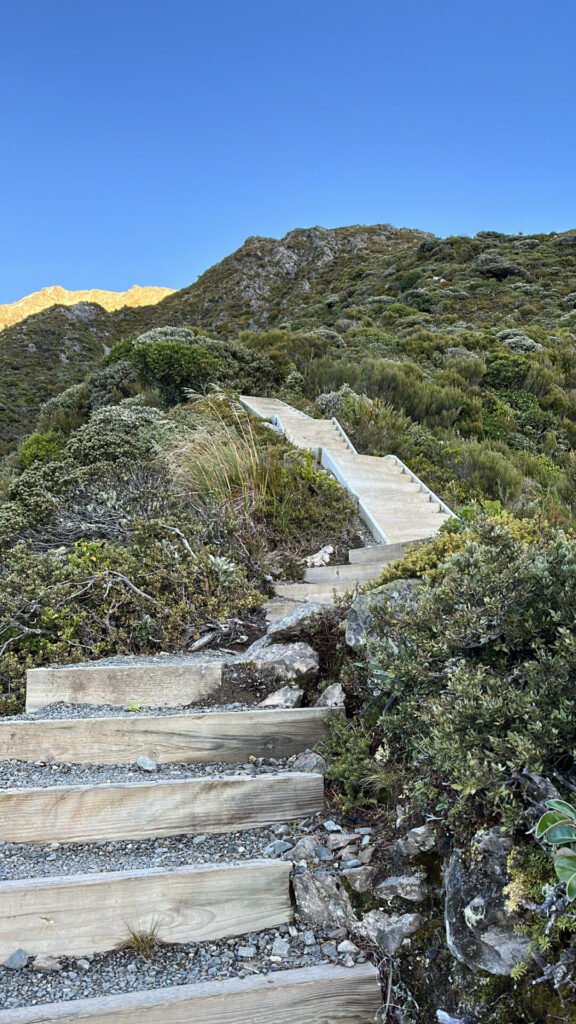 Steps to Sealy Tarns