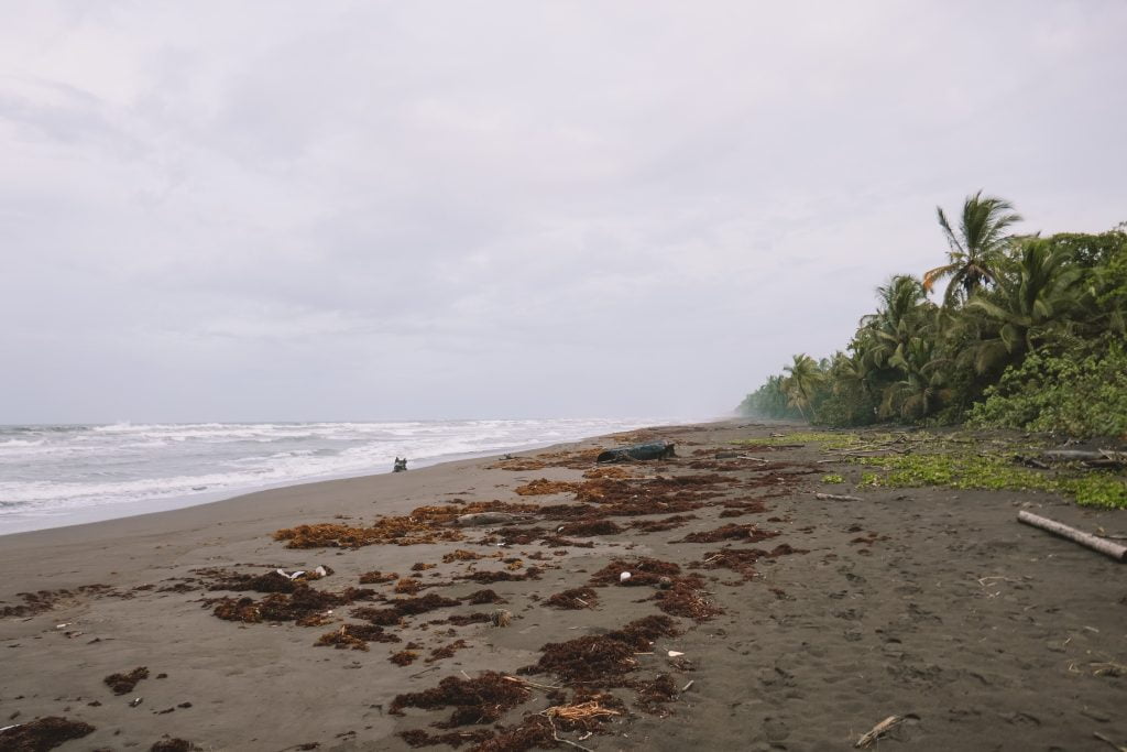 Moody beach in Tortuguero