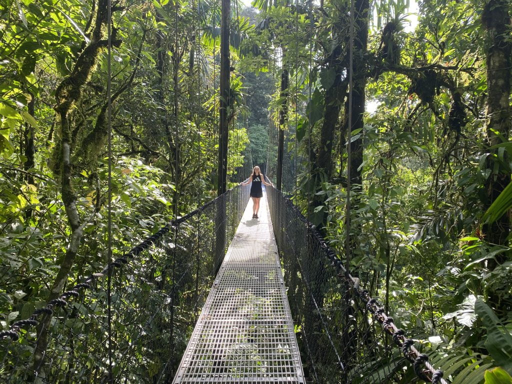 Mistico Hanging Bridges