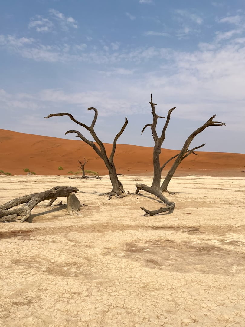 Ultimate Namibia Road Trip: Self-Drive Itinerary and Top Places to See 8 Deadvlei is one of the most unique places on earth