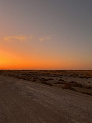 Etosha Sunset