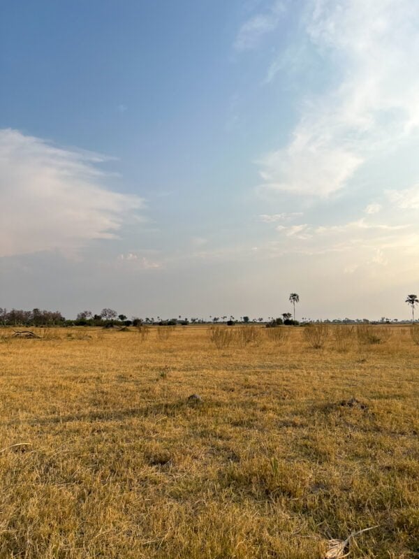 10 Things to Know About Camping in the Okavango Delta 9 Walking safari in Okavango Delta