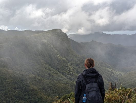 A Guide to The Pinnacles Hut Hike in the Coromandel Peninsula