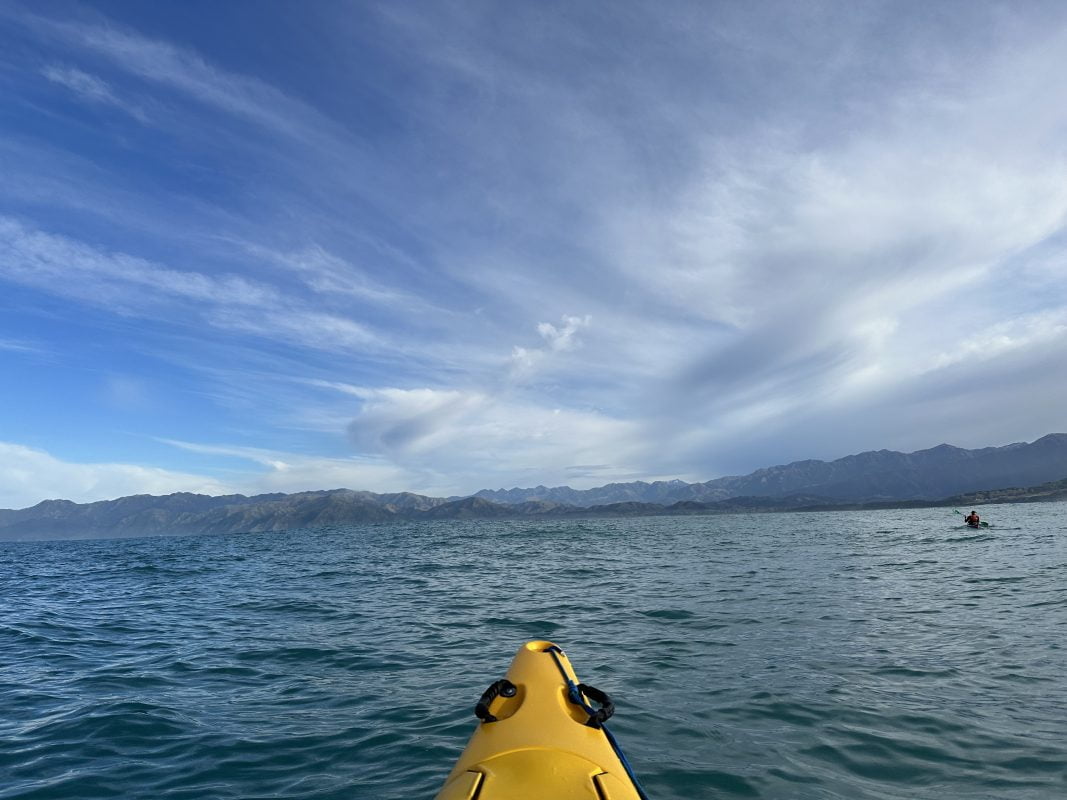 Kayak in Kaikoura