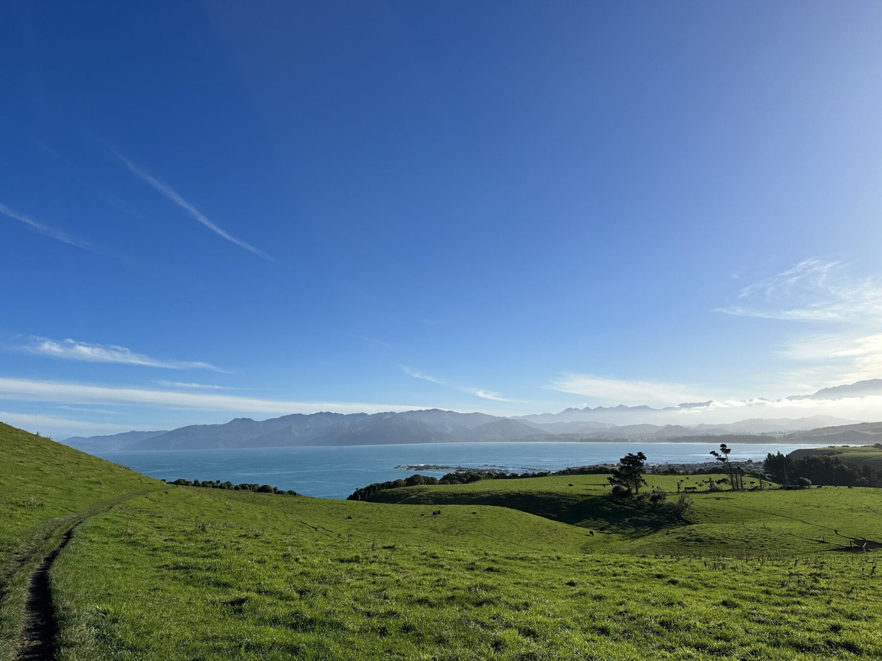 The 15 BEST Things to Do in Kaikoura (2025 Updated) 2 The Kaikoura Peninsula is one of the most beautiful places in New Zealand