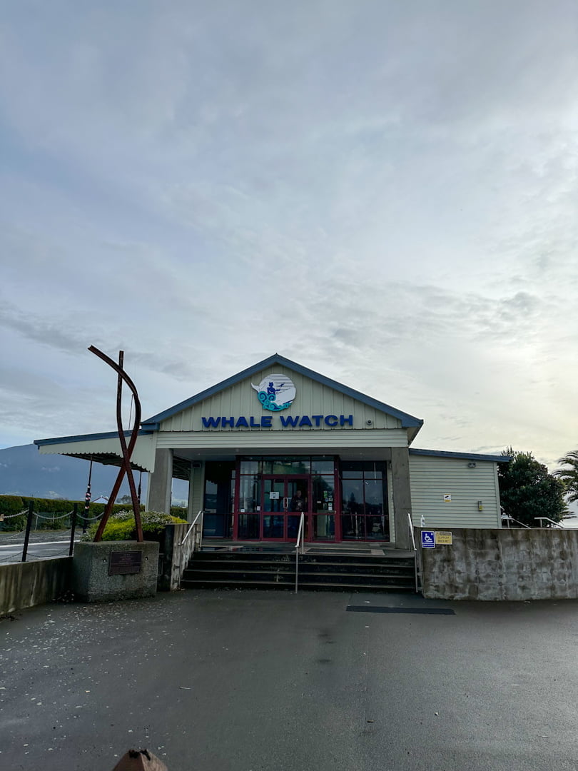 The main office and meeting point for whale watching in Kaikoura