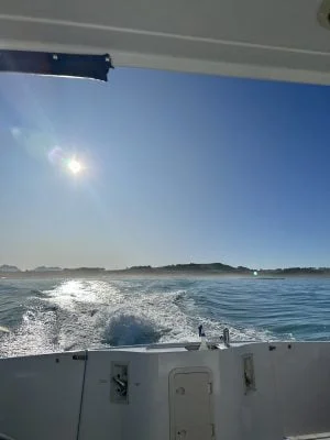 Dolphin Encounter boat