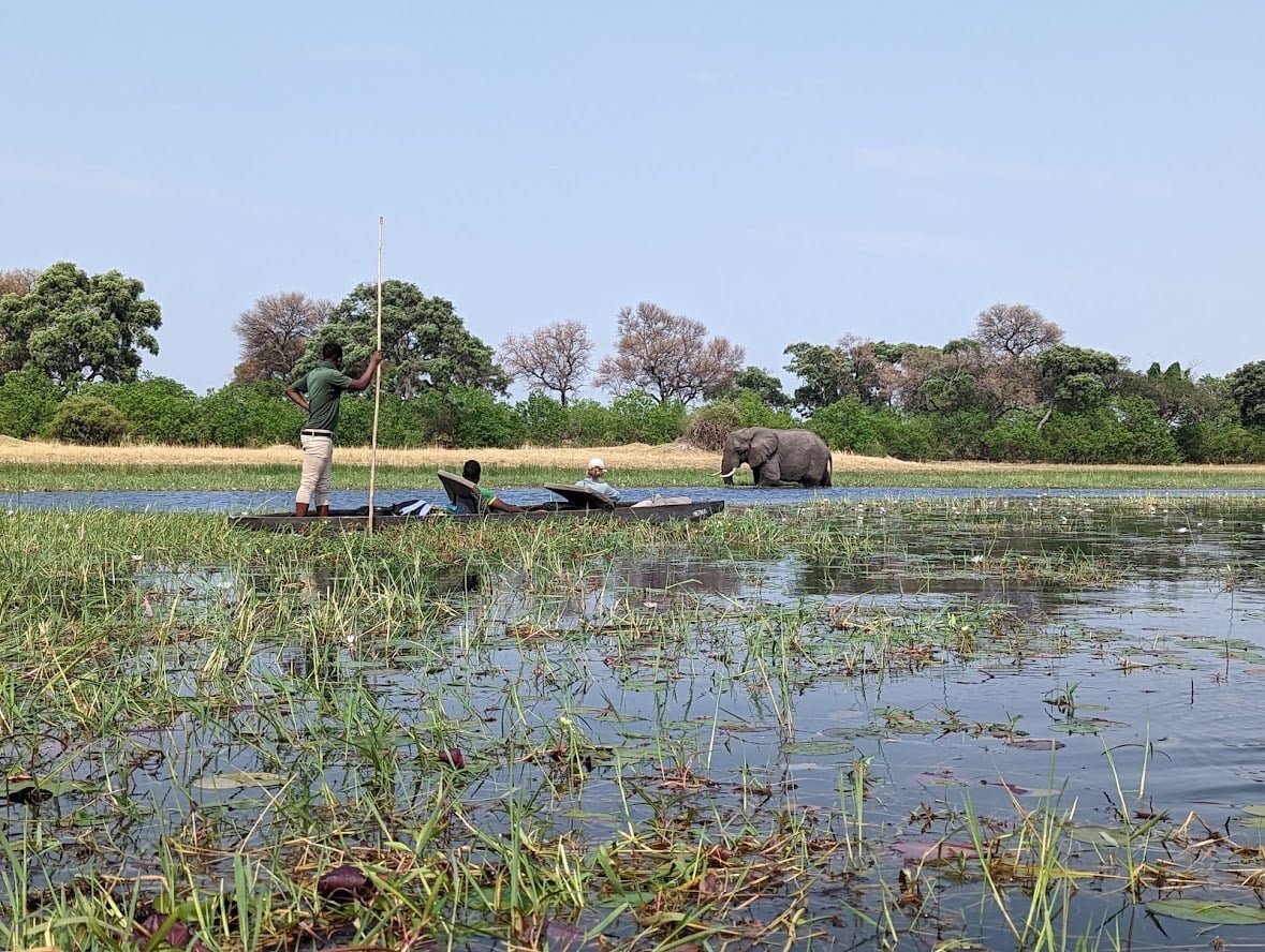 10 Things to Know About Camping in the Okavango Delta 7 Travelling through the Okavango Delta