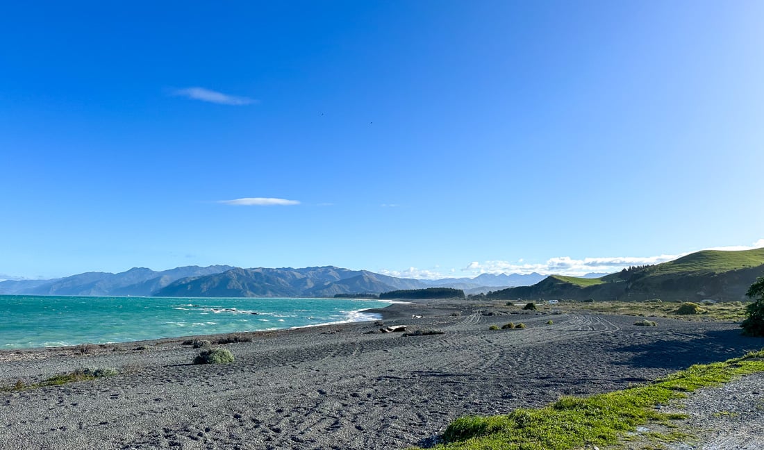 The 15 BEST Things to Do in Kaikoura (2025 Updated) 15 Kaikoura beach is one of the best beaches in New Zealand
