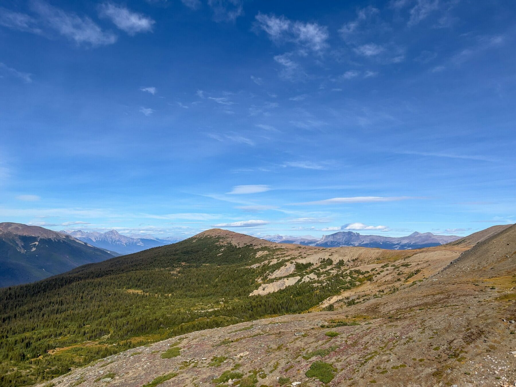 Hiking the Edith Cavell Meadows Trail in Jasper 4 The Edith Cavell Meadows Hike offers panoramic views of the Rocky Mountains