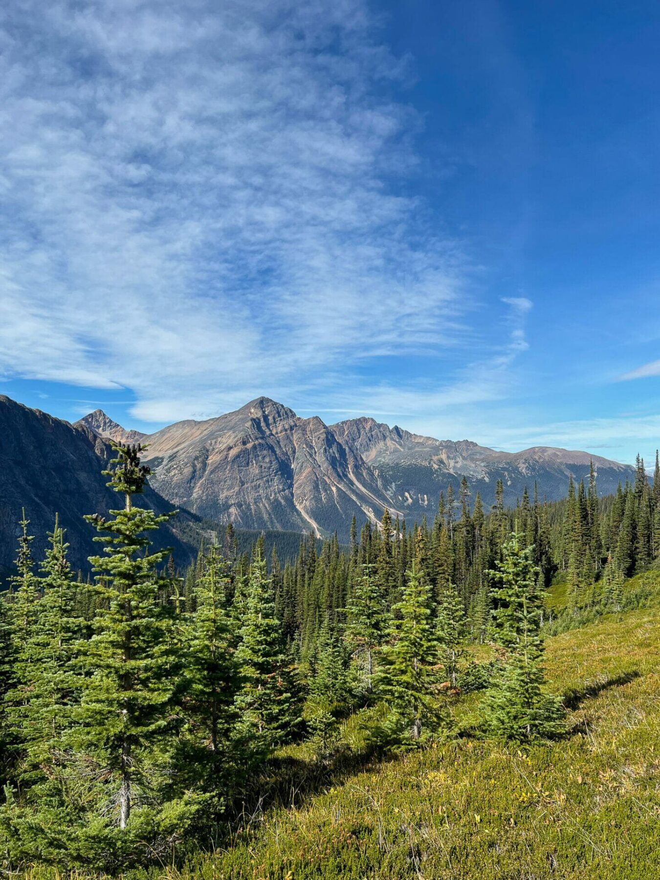 Hiking the Edith Cavell Meadows Trail in Jasper 2 The Edith Cavell Meadows Trail is one of the most beautiful places in Canada