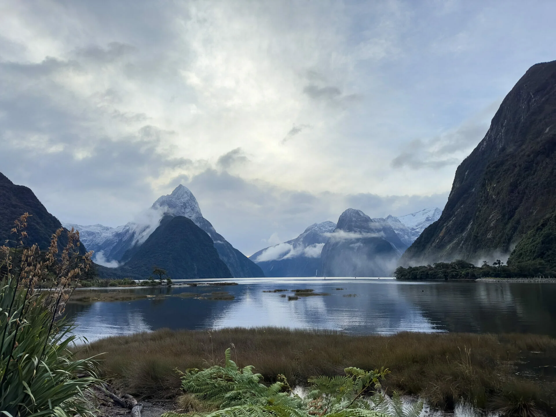 Queenstown to Milford Sound Drive: Ultimate Road Trip Guide & Best Stops