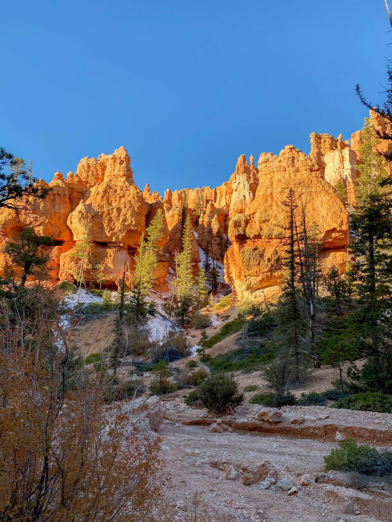 Hoodoos in Bryce Canyon