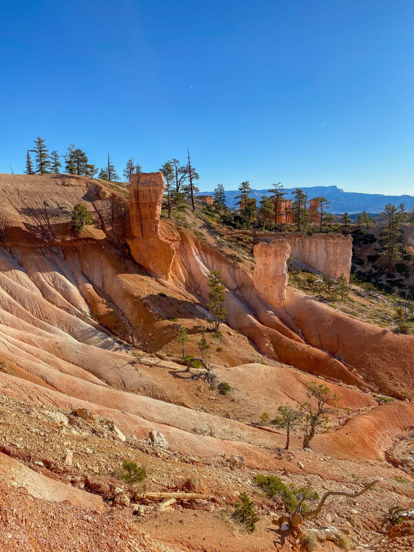 Queen's Garden Bryce