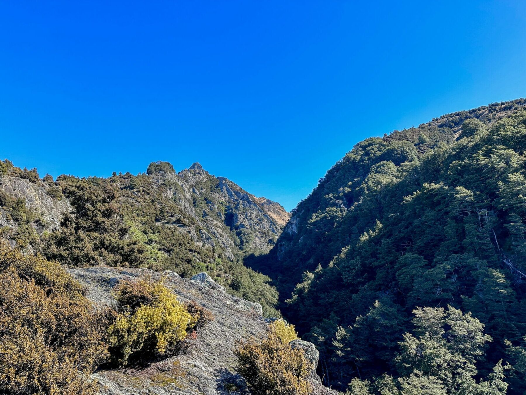 Isthmus Peak Hike Guide PLUS Isthmus Peak vs Roys Peak 8 The hiking trail on Isthmus Peak