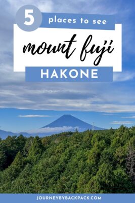 The 5 BEST Places to See Mount Fuji from Hakone