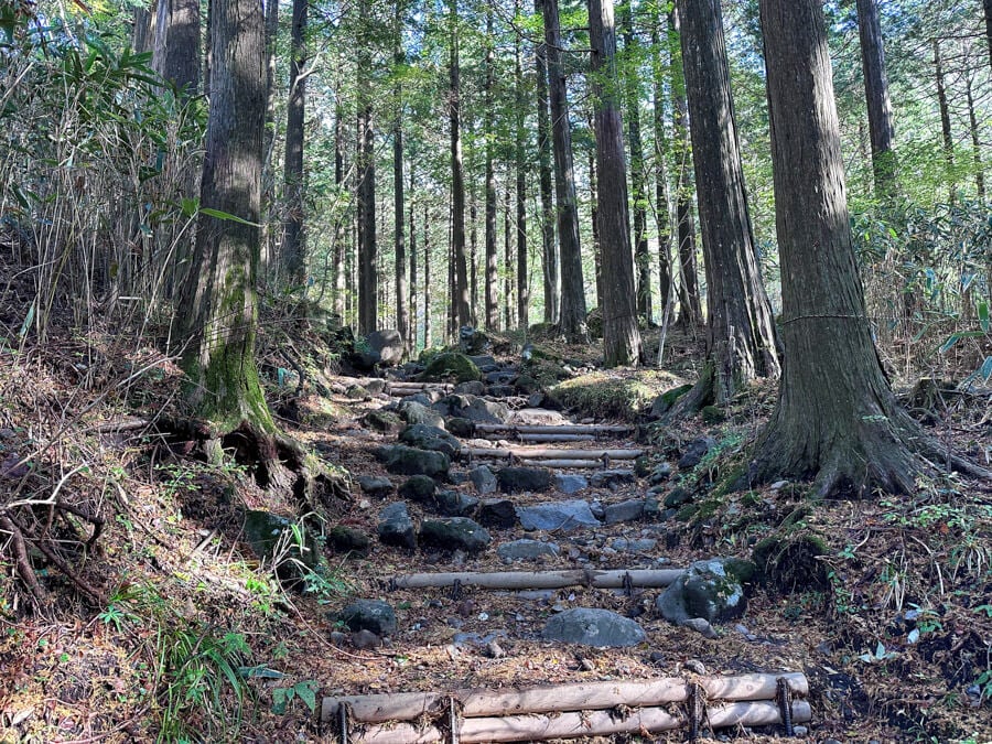 The 5 BEST Places to See Mount Fuji from Hakone 3 Hiking up to see Mount Fuji