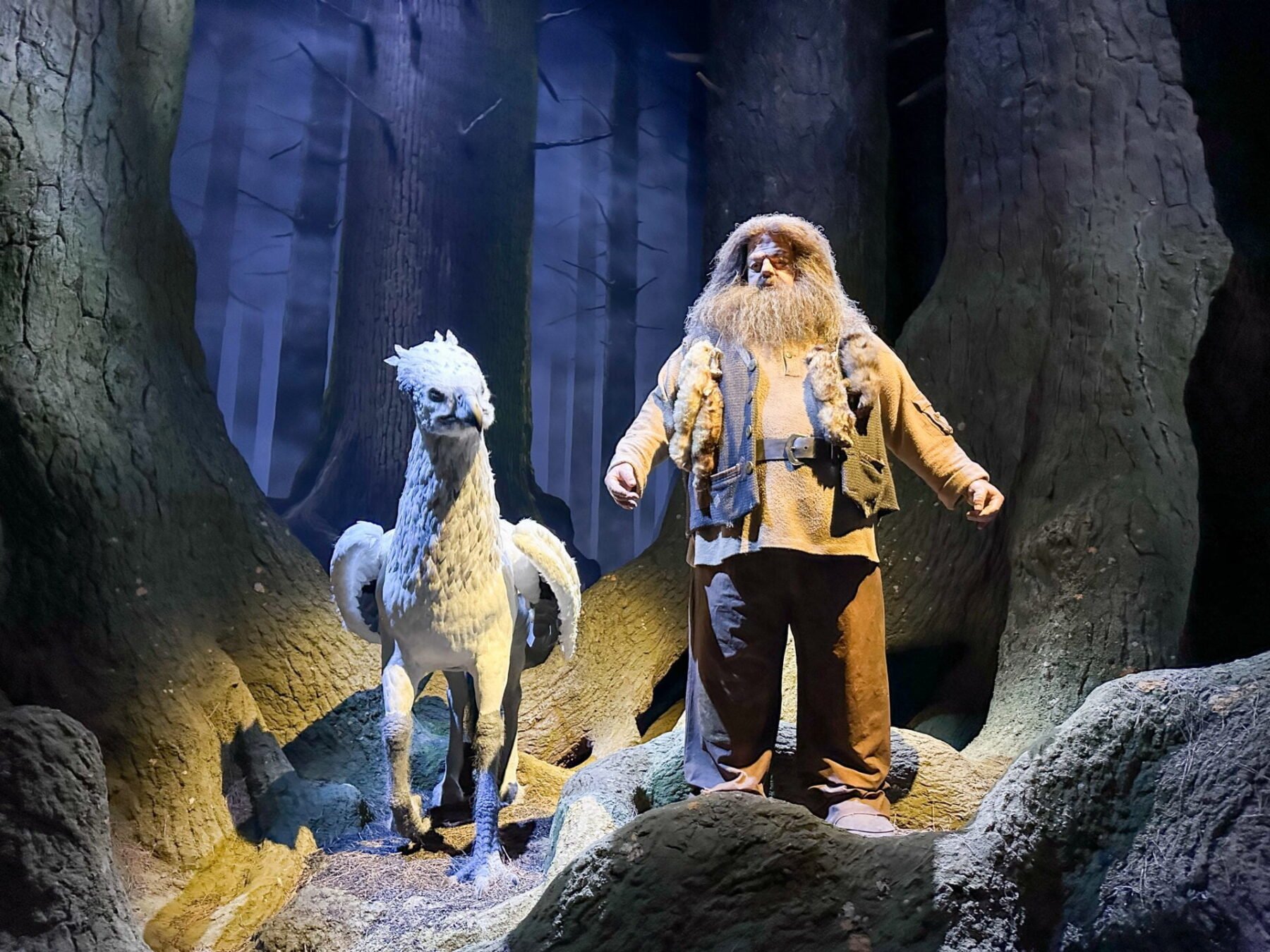 Harry Potter Studio Tour Tokyo: How to Visit and an Honest Review 6 The Forbidden Forest