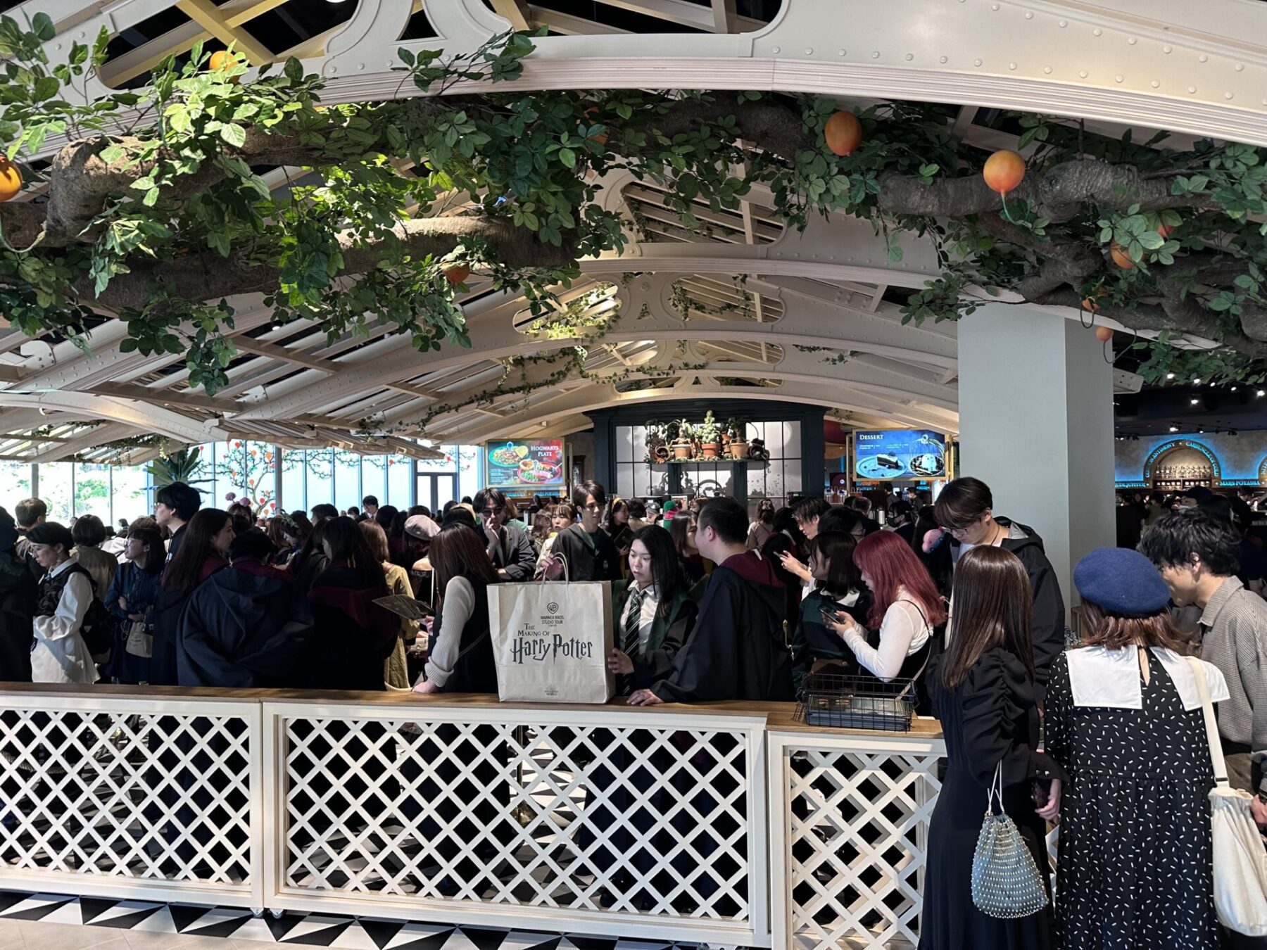 Harry Potter Studio Tour Tokyo: How to Visit and an Honest Review 3 There is often long queues at Harry Potter Studio Tour, Tokyo