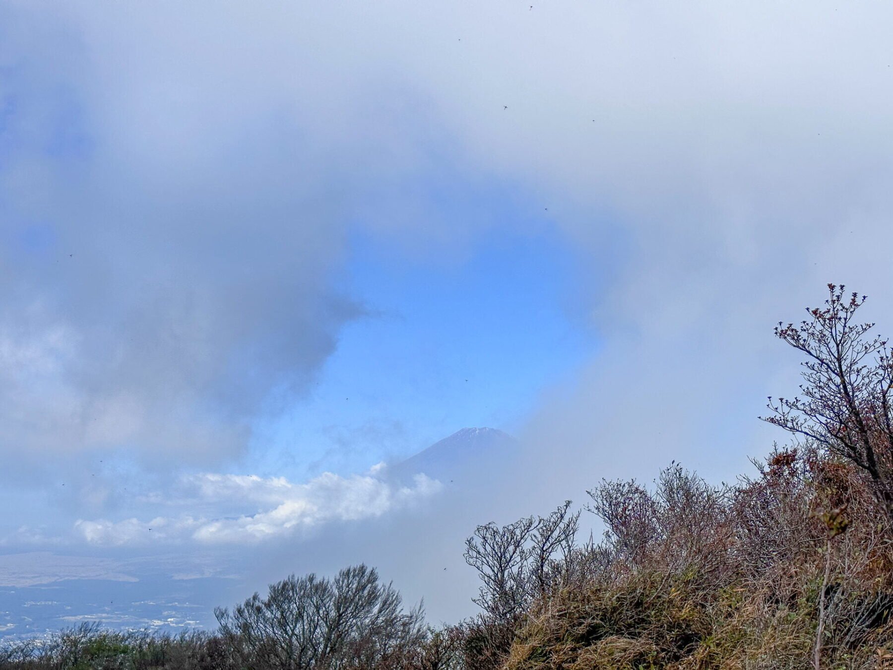 Hakone Guide: Best Things to Do and Helpful Itinerary Ideas 11 Mount Fuji View from Kintoki on a cloudy day