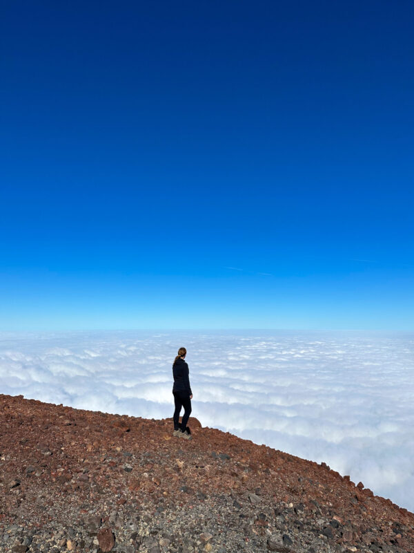 Top of Fanthams Peak