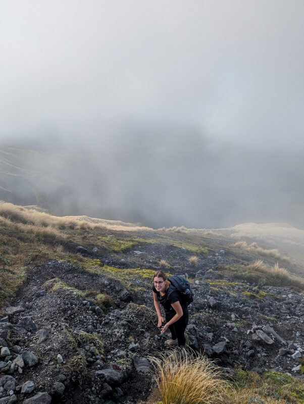 Fanthams Peak Track