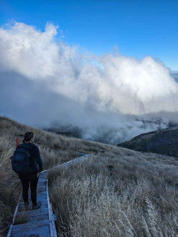 Fanthams Peak Track