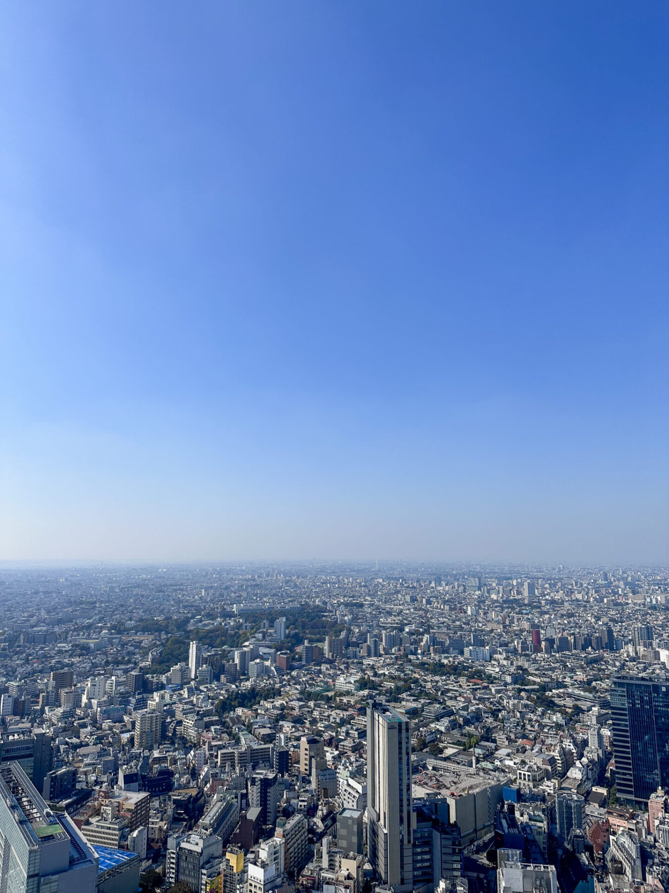 Visiting Japan in November means clear skies