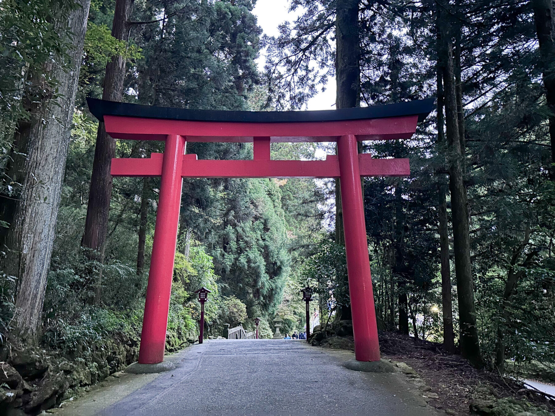 The Hakone Shrine is surrounded by a beautiful forest