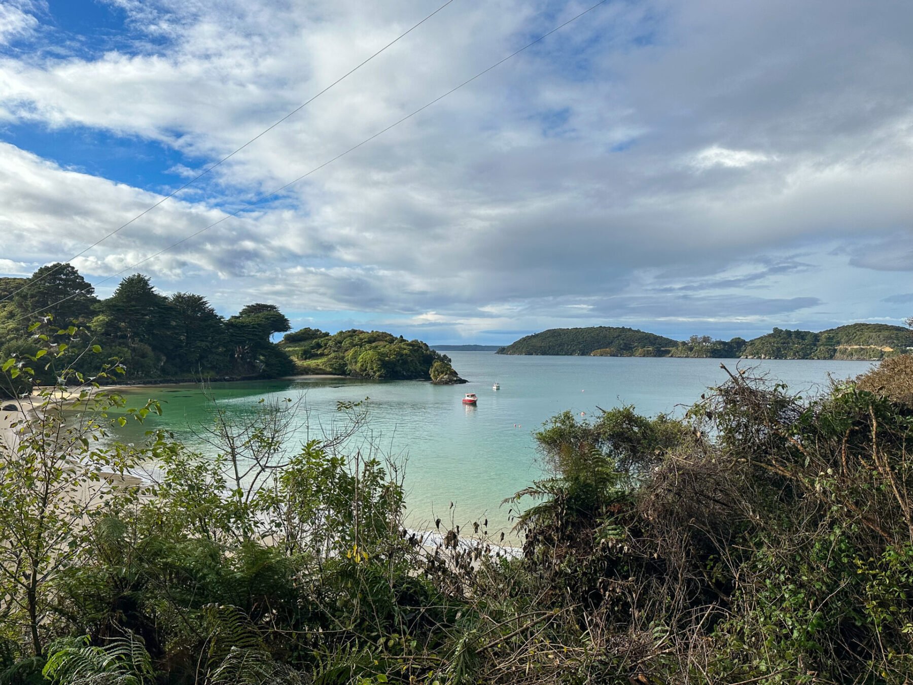 The 20 BEST Things to Do on Stewart Island (2025) 7 Short hike on Stewart Island