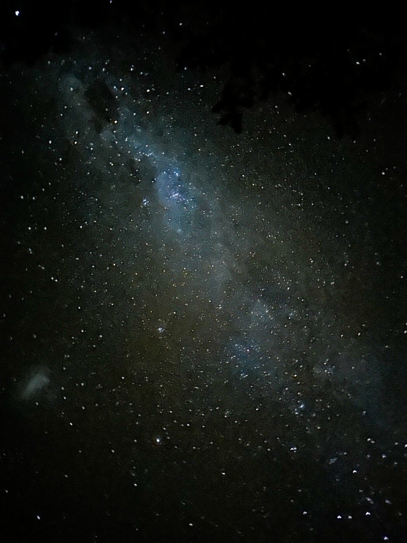The 20 BEST Things to Do on Stewart Island (2025) 8 Stargazing on Stewart Island