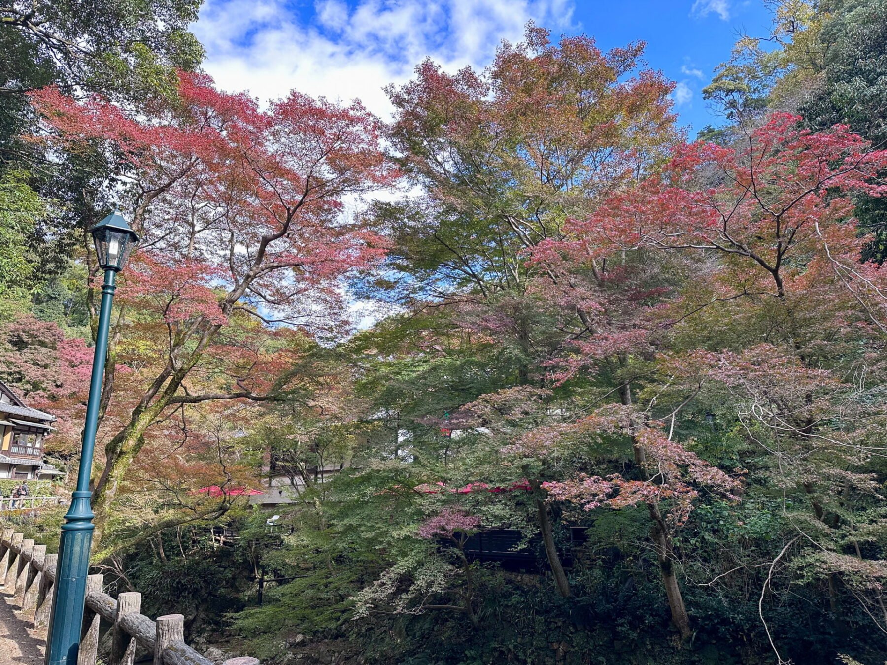 Minoo Park: A Beautiful Day Trip from Osaka 2 Autumn Colours in Minoo Park