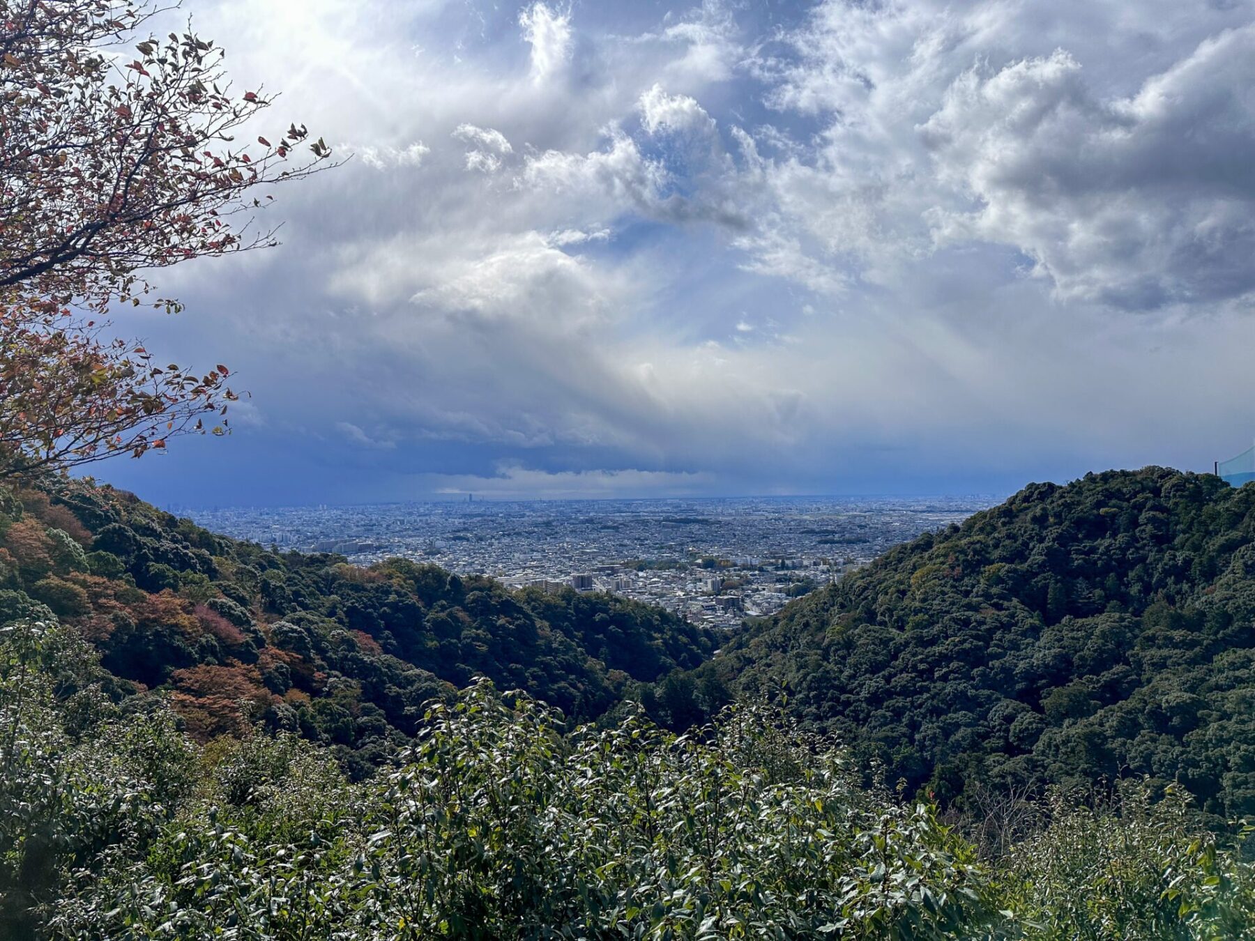 Minoo Park: A Beautiful Day Trip from Osaka 6 The Minoo Park Observation Deck boasts incredible views
