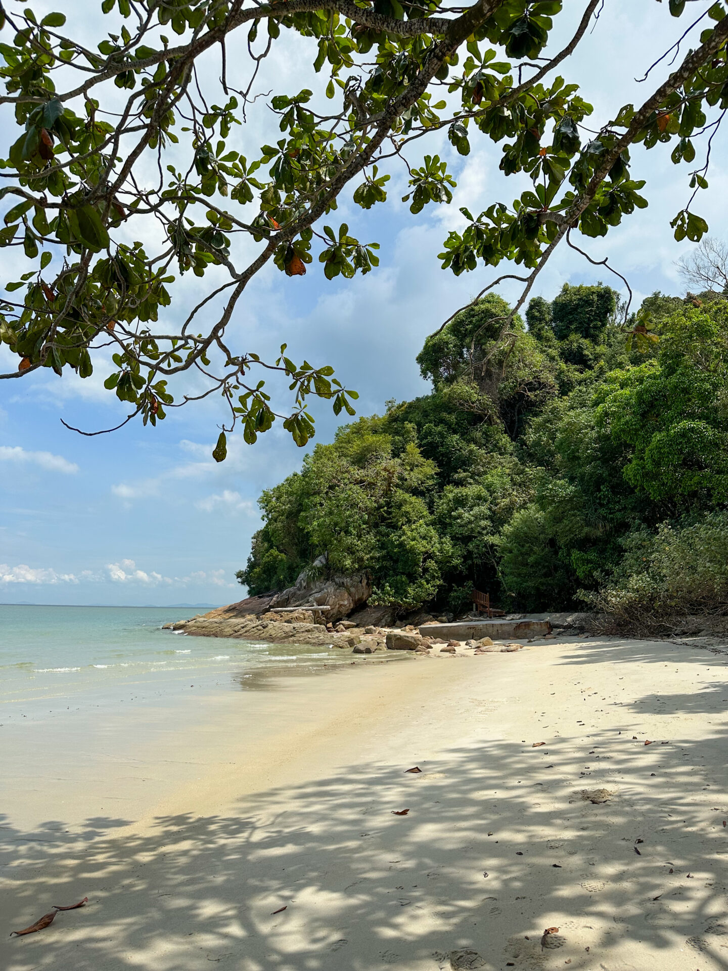 Penang National Park is one of the best places to visit in Malaysia