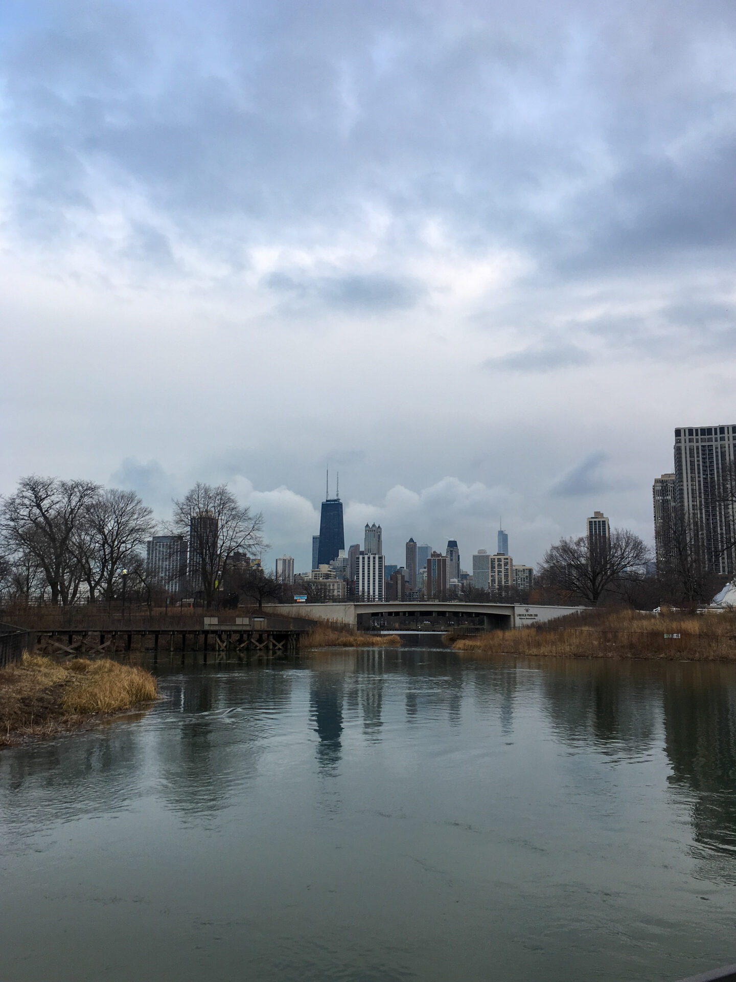The Chicago skyline from Lincoln Park