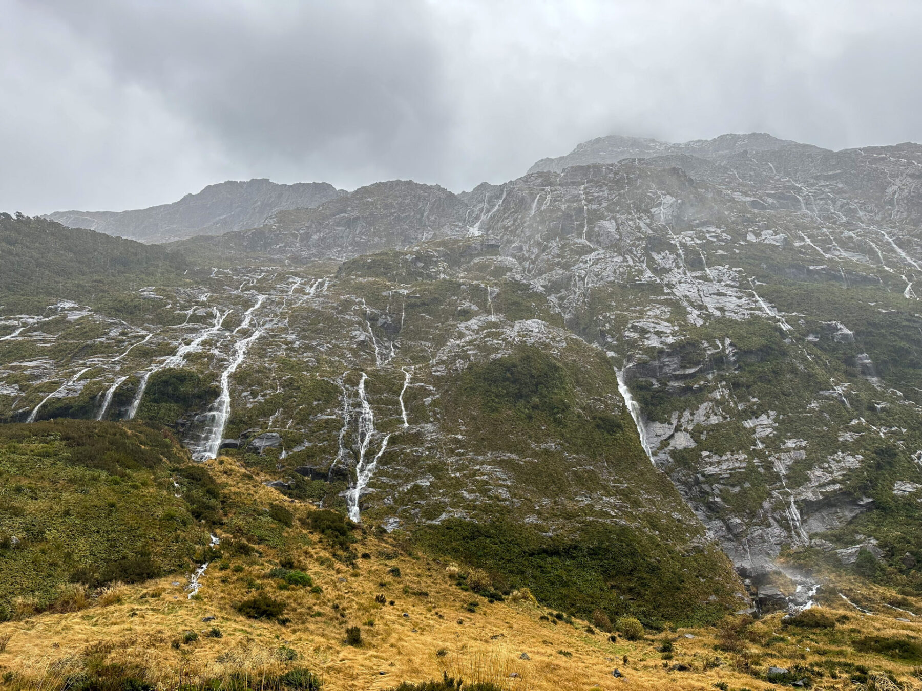 Milford Sound in the rain