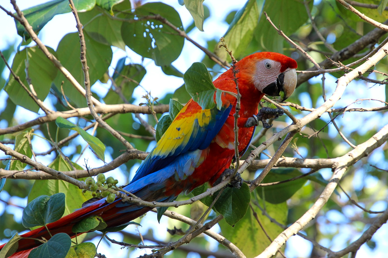 Costa Rica in March