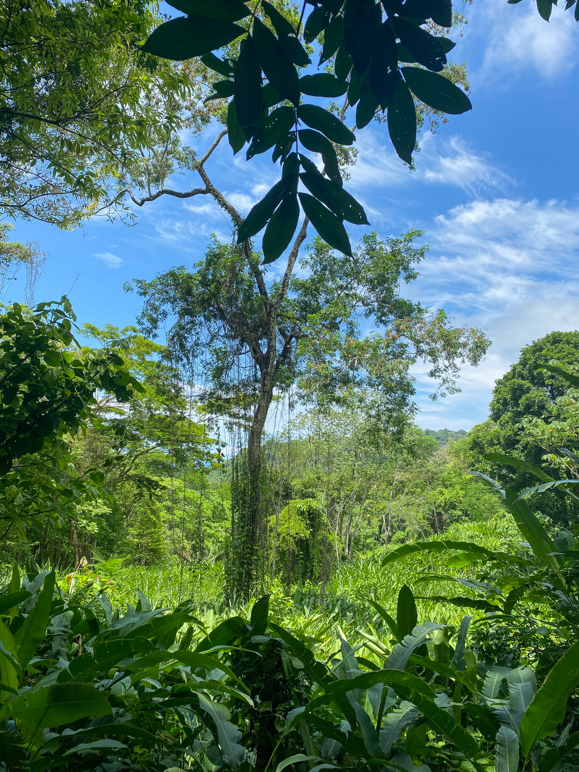 The Green Season in Costa Rica