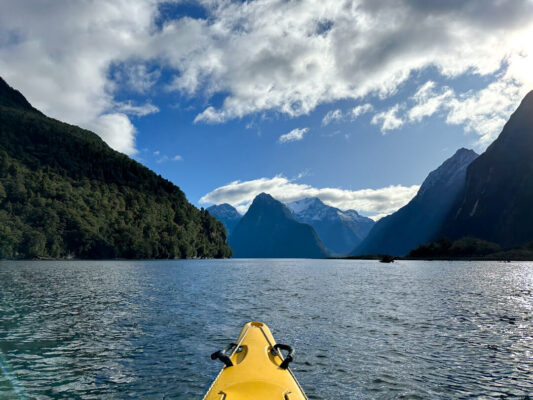 Kayaking Milford Sound