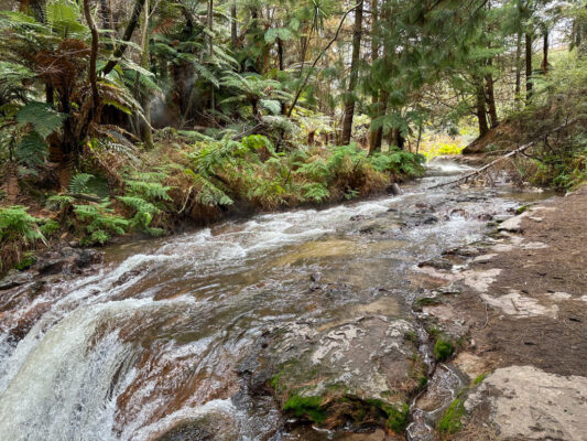 Kerosene Creek