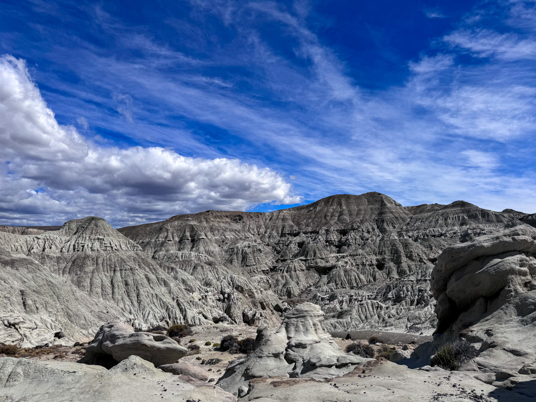 Visiting La Leona Petrified Forest is one of the best things to do in El Calafate