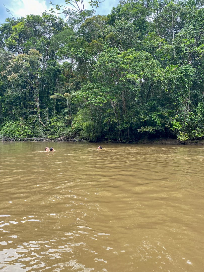 Ecuador: Backpacking Route and Itinerary (2025) 10 Exploring the Ecuadorian Amazon