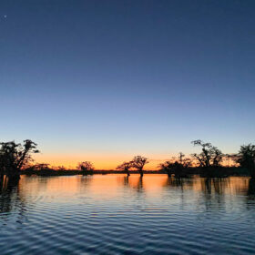 Sunset in the Amazon Rainforest