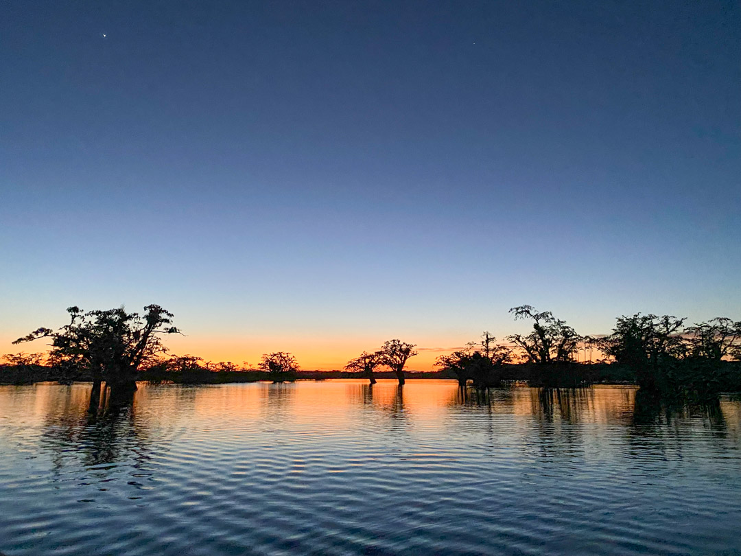 Sunset in the Amazon Rainforest