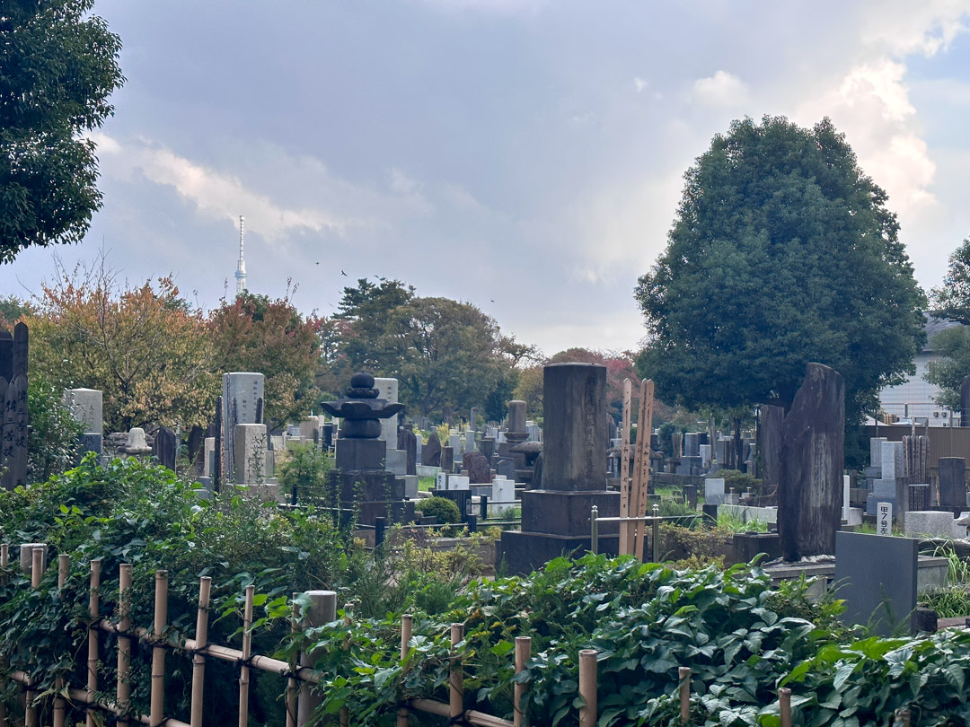 Visiting the Yanaka Cemetery is one of the best things to do in the Yanaka area