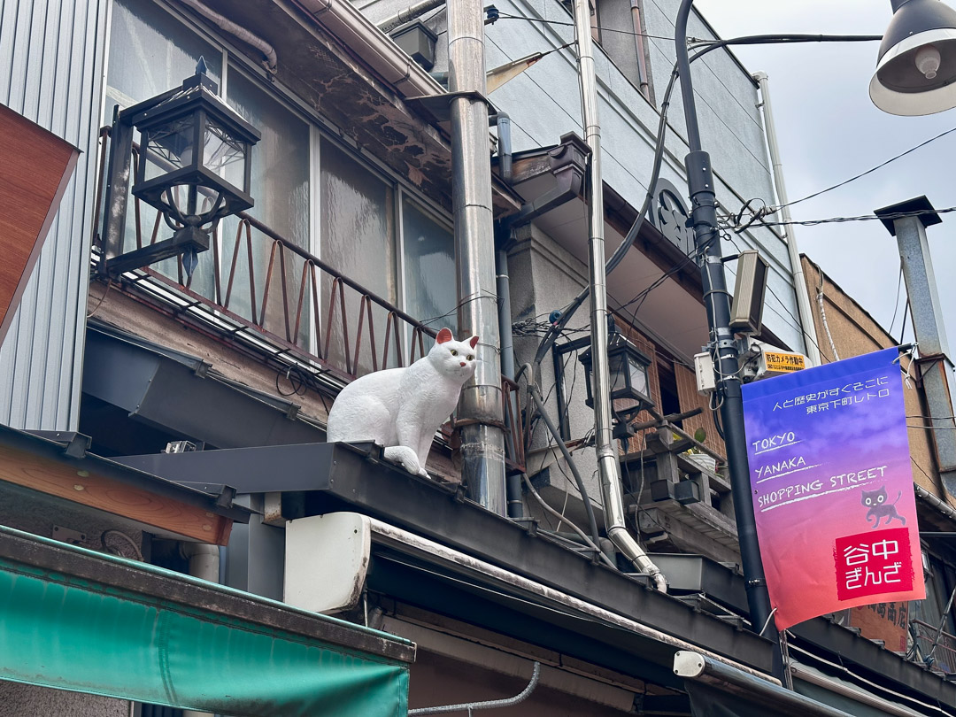 Try and find the Seven Lucky Cat statues while in Yanaka 