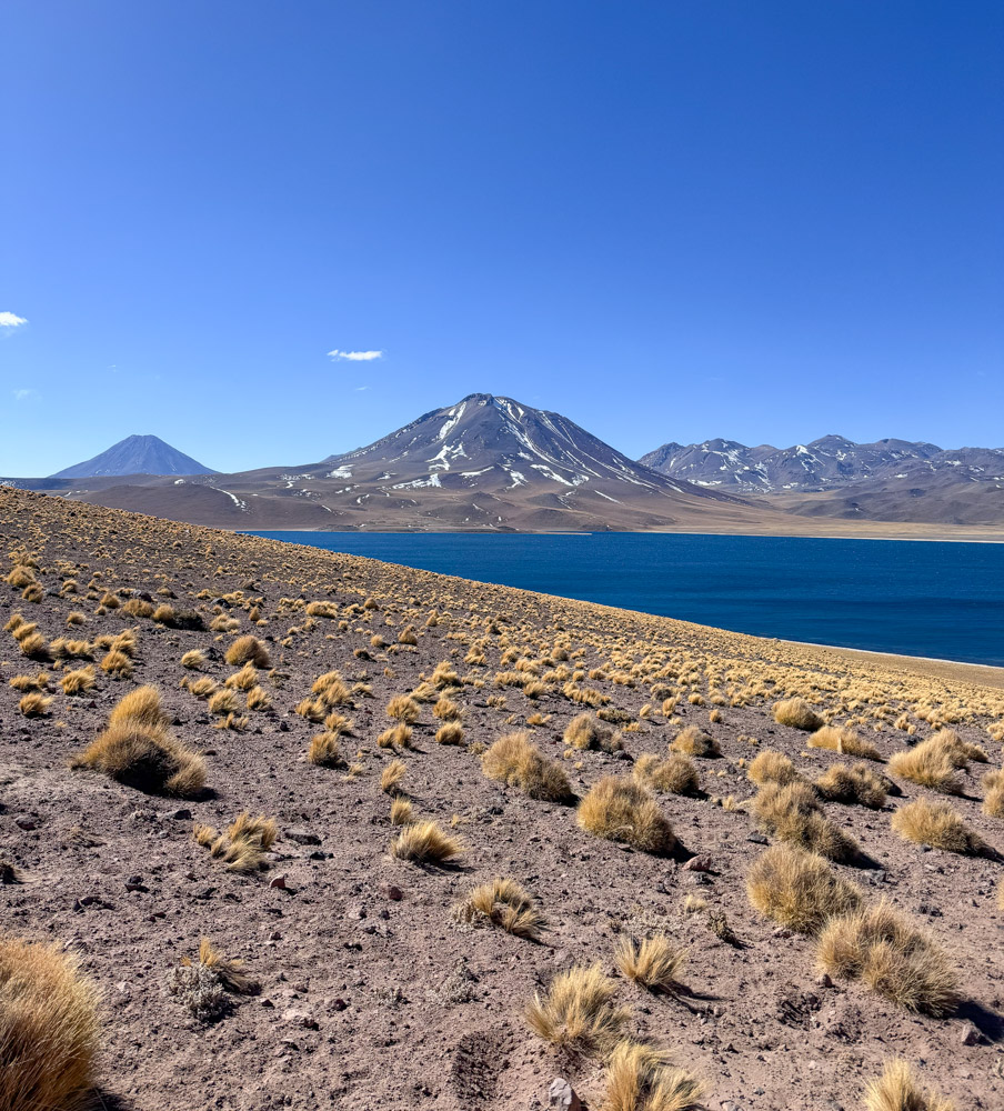 Las lagunas altiplánicas (Miscanti y Miñiques) are a must visit in San Pedro de Atacama 