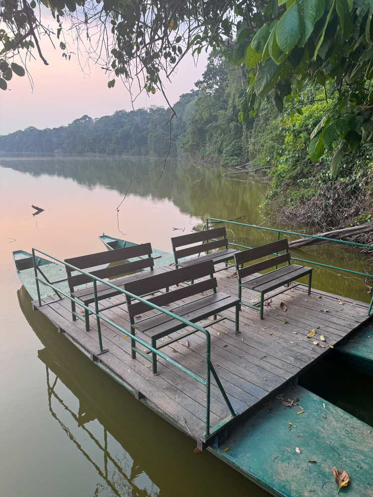 In Manu, you can explore Oxbow lakes by Catamaran